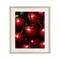 Stupell Industries Lush Juicy Cherries Harvest Framed Print Under Glass, design by Christine Simpson Art